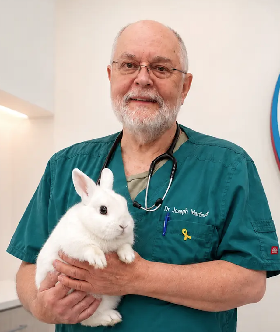 Dr. Joseph Martinez holding a rabbit at Francis Petcare Hospital in Richmond BC